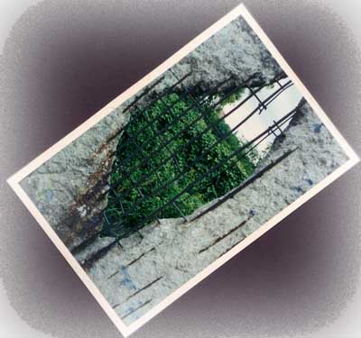 Wall